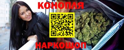 a pvp Кингисепп