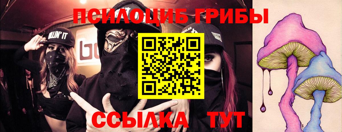 Галлюциногенные грибы Cubensis Краснознаменск