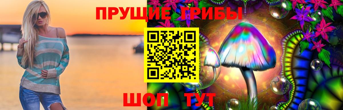 Псилоцибиновые грибы Magic Shrooms  Вход с VPN  Псилоцибиновые грибы мухоморы  купить наркотики сайты  Краснознаменск 
